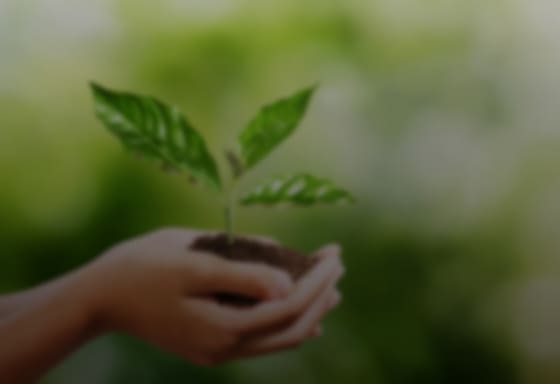 サステナビリティへの取り組み