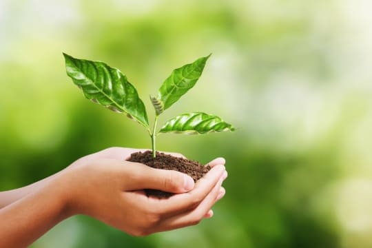 サステナビリティへの取り組み