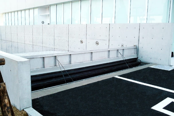 Flood Protection Door